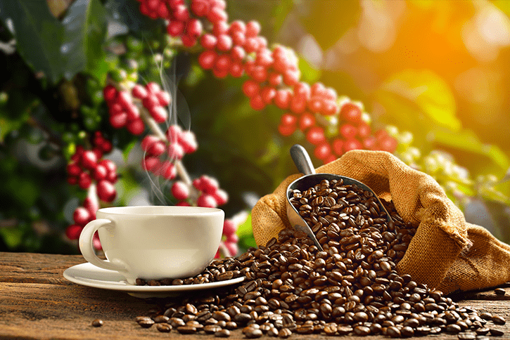 cafe