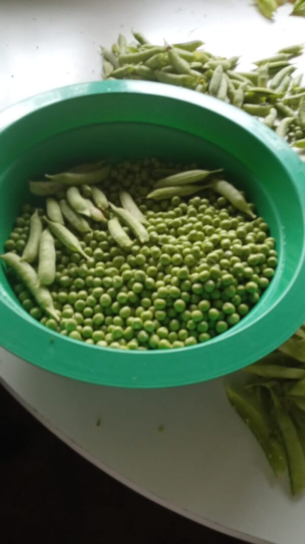 IMG-20241227-WA0047