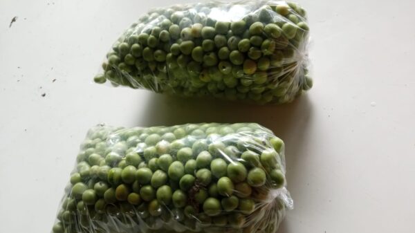 IMG-20250115-WA0022